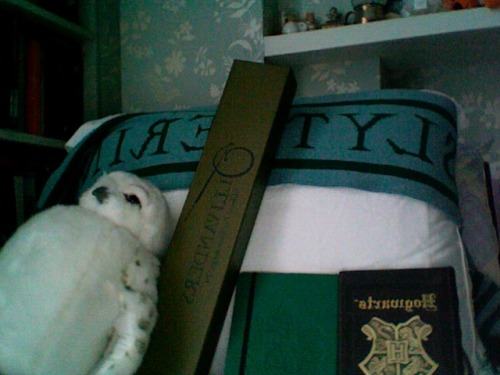 5-4-11:  HARRY POTTER GIVEAWAY: Slytherin scarf (never worn), Hedwig stuffed animal (moveable head and squeaking noise), Hogwarts journal (blank paper), Slytherin journal (lined paper) and one Ollivander’s wand (January-Feburary birthday). Basically,