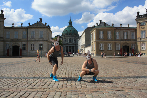 Den Hvide Kanin - Copenhagen 2010- Alexander Guerra