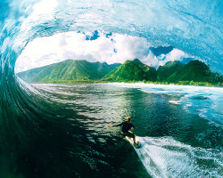 radicalsurfer:  HOLY MOTHER THIS IS GORGEOUS.