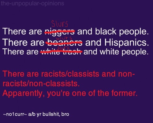 [Image description: red and white text on a purple background, reads &ldquo;There are niggers an