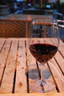 envynoone:tempranillo-black grape, red wine