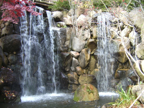 randomdawn: Waterfall at Anderson Japanese Gardens in Rockford, IL, fall season. One of my favorite