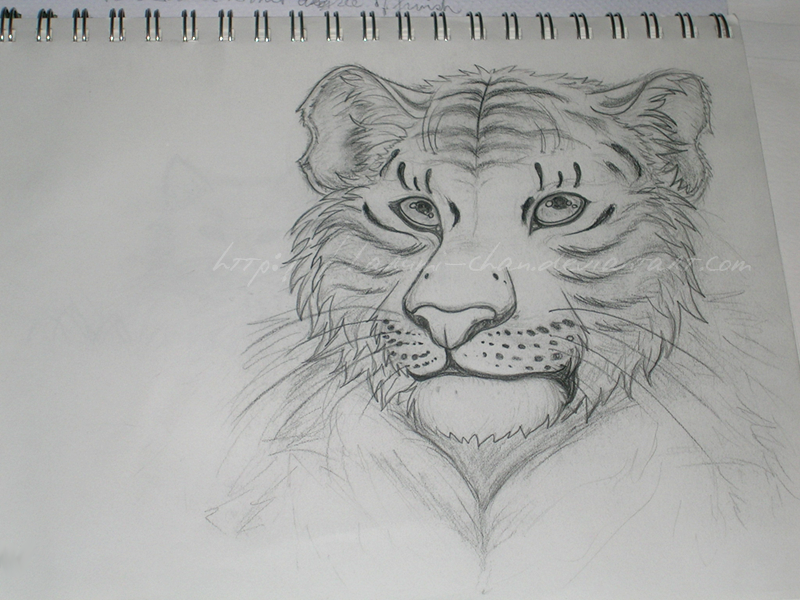 I liked to dab in semi-realism a lot ;u; I wasn&rsquo;t very good at it though