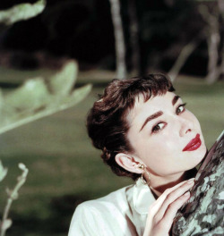 vintagegal:  Audrey Hepburn 1950’s 