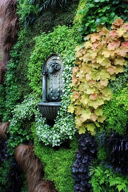 wallacegardens:  Vertical garden with a Ram’s Head Fountain.  