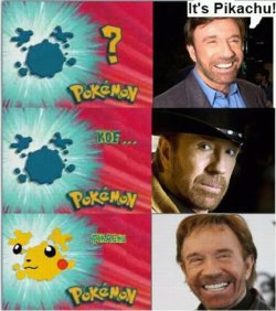 karlyloveandfun:  chuck norris never wrong