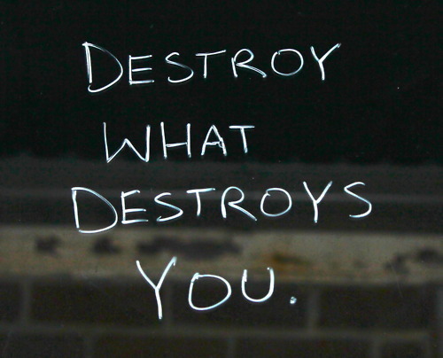 Pictures and Quotes