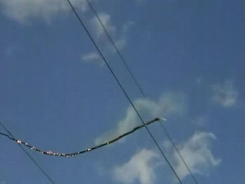 thebuttkingpost: biglawbear:  laurenocuma:  brivonnet:  What happens when a tree branch falls onto a powerline? Answer: Dramatic Annihilation Only 17 seconds long - stick to the end. Submitted by:  nonniebyrd  THAT IS BEAUTIFUL.  Did that shit…just