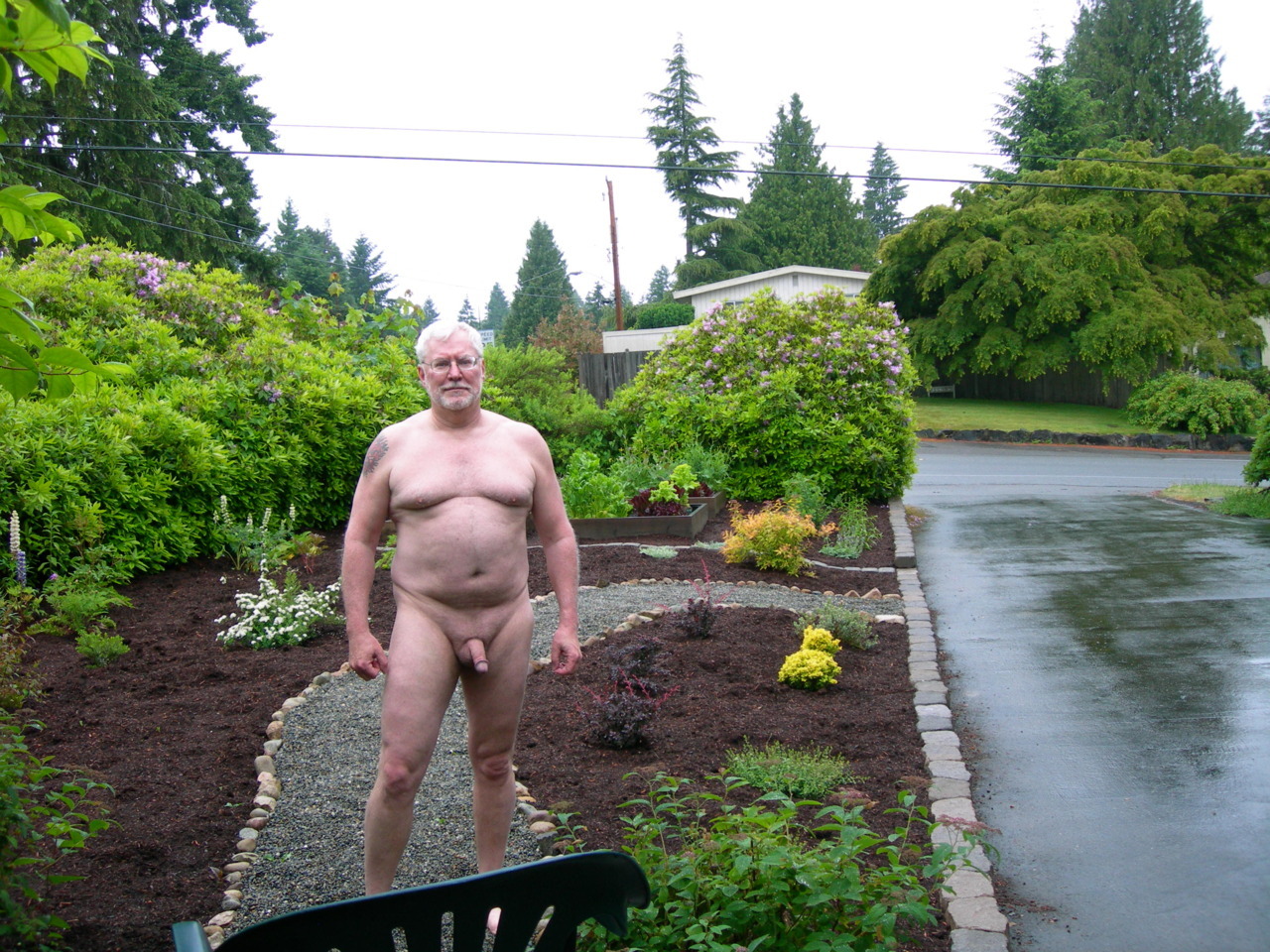 kjs56:  Front yard on a rainy day. 