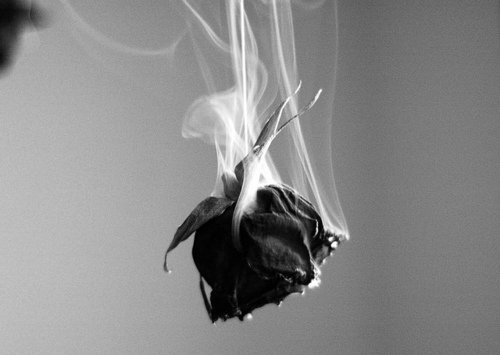 diacetyl-morphine.tumblr.com/post/9816408461/