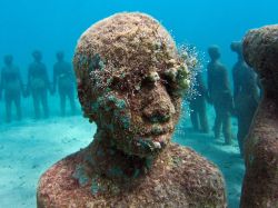 tigertears:  Underwater sculpture park in Grenada, West Indies. 