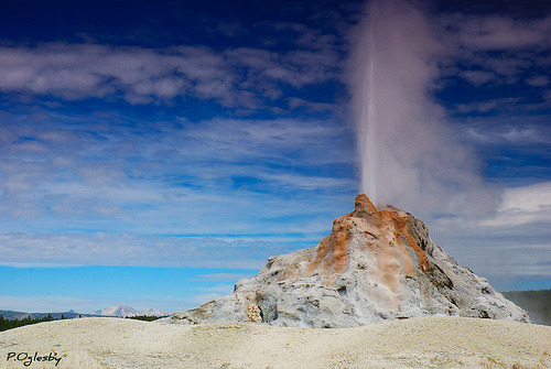 White Dome Geyser, Yellowstone National Park, Wyoming 