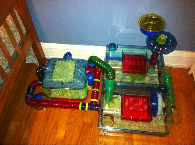 The home of Harvey M. Nibbles aka &ldquo;Speedy&rdquo;