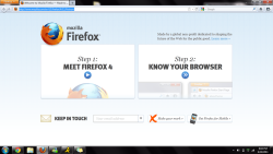 Firefox looks like another bootleg version of