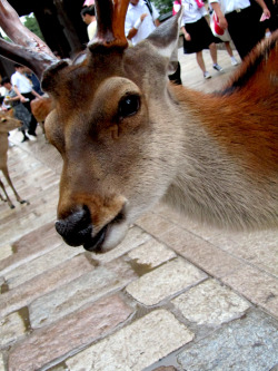 The bucks definitely had an attitude problem…