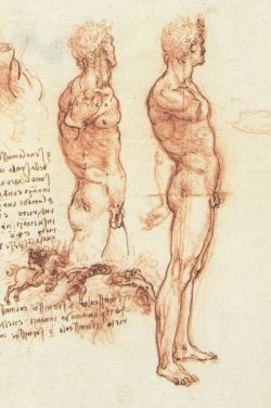 duttyfree:  Leonardo da Vinci 