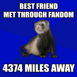 helloooo-trickster:  bexxington:  helloooo-trickster:   Be hopeful fellow fandom ferrets! You’ll get to fangirl with them in person one day! [SEE ABOVE FOR PROOF]  marina that’s only proof that your life is awesome. :l  I never said it wasn’t. I