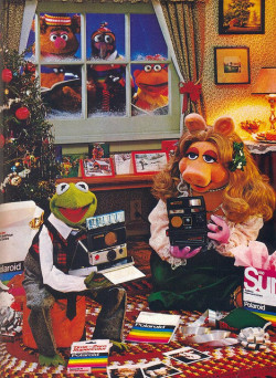 zuppadivetro:  The Muppets Polaroid Commercial