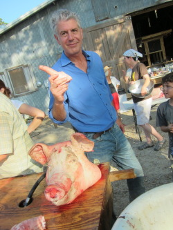 How can you not love Bourdain?  helencho: