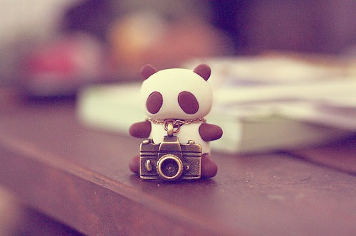 Pictures and Quotes