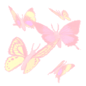 butterflies yay