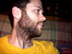 thedailybeard:  that is some pretty sweet