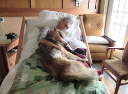 thisnevermeantnothingtoyou:  imustbetheonetokillharrypotter:  iwasateenagevoldemort:  misunderstooood:  A picture is worth a thousand words… A dying man holding his best friend. He lived homeless in Iowa with his dog in a car. When he became terminally