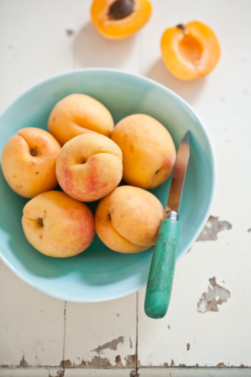 dietcokeandasmoke: apricots xxxx