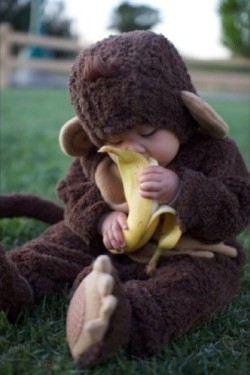 hellocute:  Monkey Baby want banana! Check out these cool DIY banana beauty recipes! (via pinterest, beautylish) 