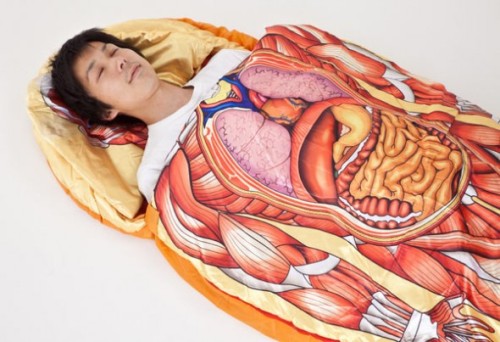 Anatomical sleep bag