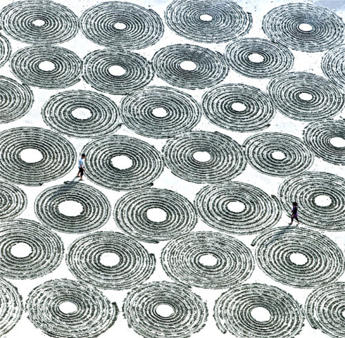 artchipel:Jim Denevan (b.1961, USA) - Untitled (single line spirals)[more Jim Denevan | artist found