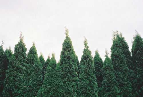 acompanionofowls: untitled by Clemens Fantur on Flickr.