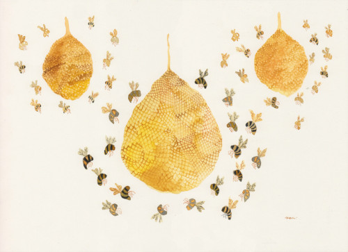 jmiranda:Honey Bee Hives! This water color is simply gorgeous! 