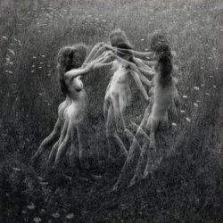 frenchtwist:  Three Graces by Charles Swedlund,