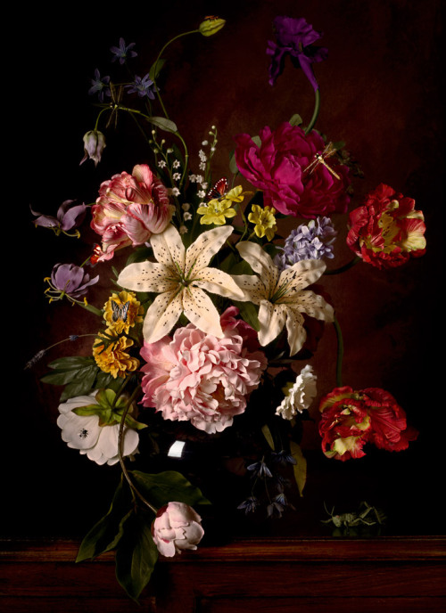 Flowers at Les Rencontres d'Arles 2011
Four images from Flowers have been selected to show at Galerie Huit’s Open Salon during the international photography festival in Arles; Les Rencontres d'Arles 2011! The private view is Friday 8th July -...