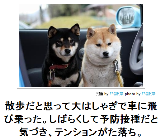 saitamanaka:  ボケて（bokete）: 【ボケ】散歩だと思って大はしゃぎで車に飛び乗った。しばらくして予防接種だと気づき、テンションがた落ち。