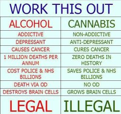 cinnamon-altoids:  I AM DYING OF LAUGHTER SO MUCH BULLSHIT i agree with the message but: 1. cannabis isn’t addictive; however, it can be extremely habit forming 2. weed isn’t an anti-depressant for most. In many cases it also causes more problems