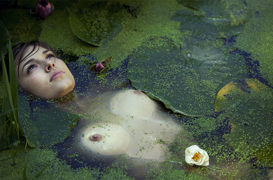 lilies / breasts