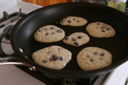 rubbyrubbishbin:  sirseahorse:  dafhunneeey:  eaterofdeathx: kingwithnokrown:  Moist cookies. &lt;3  these are PANCAKES you dipshit.  MOIST COOKIES  omg  who cooks cookies in a pan  moist