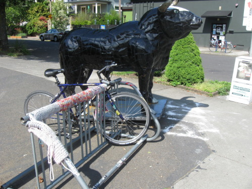 Knit bombing near 22nd & East Burnside