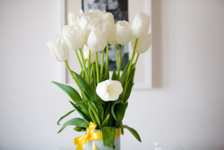 Re-Fre-Sh:  Glowingcoconuts:  Re-Fre-Sh:  Love Tulips   My Fav Flowers  I’ll Have