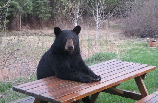 My plans for the weekend&hellip;