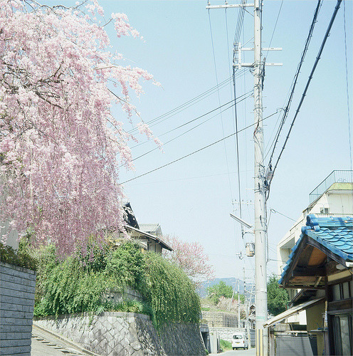 misanthropically: (by nao’)