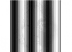 Shake your head. 