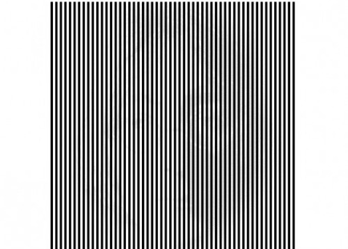 Shake your head.  porn pictures
