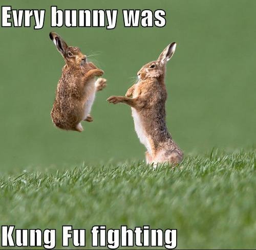 fuckyeahitsstef:  in fact it was a little bit frightning [reddit] 