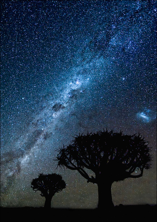 shogunpassion:  shogunushuaia: Namibian Milky Way by Christopher Gray