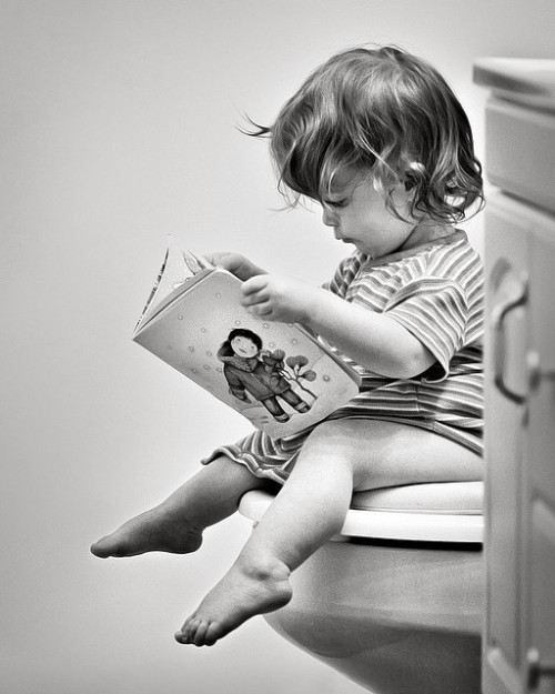 michelledh: Bathroom reading by thejbird on Flickr. Reading is GOOD for you! 