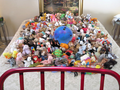 Our beanie babies collection is going to be worth a lot soon! -Rob Tanner