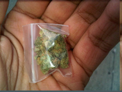 A favorite Pastime lmao